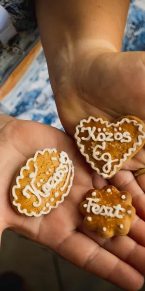 Közösérték-Közöség fesztivál5