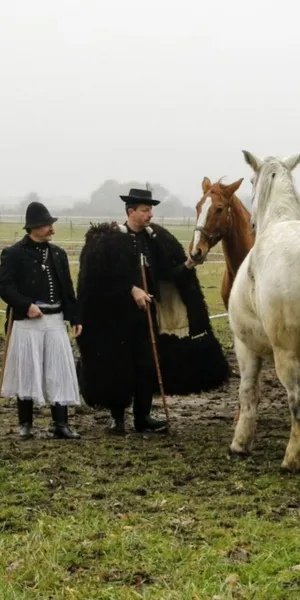 kozosertek_latopontok12