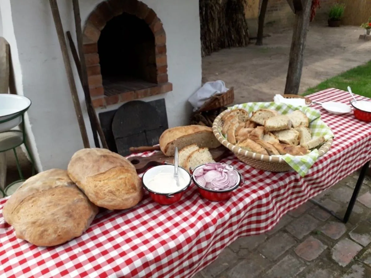 kozosertek_latopontok_konecsi 2