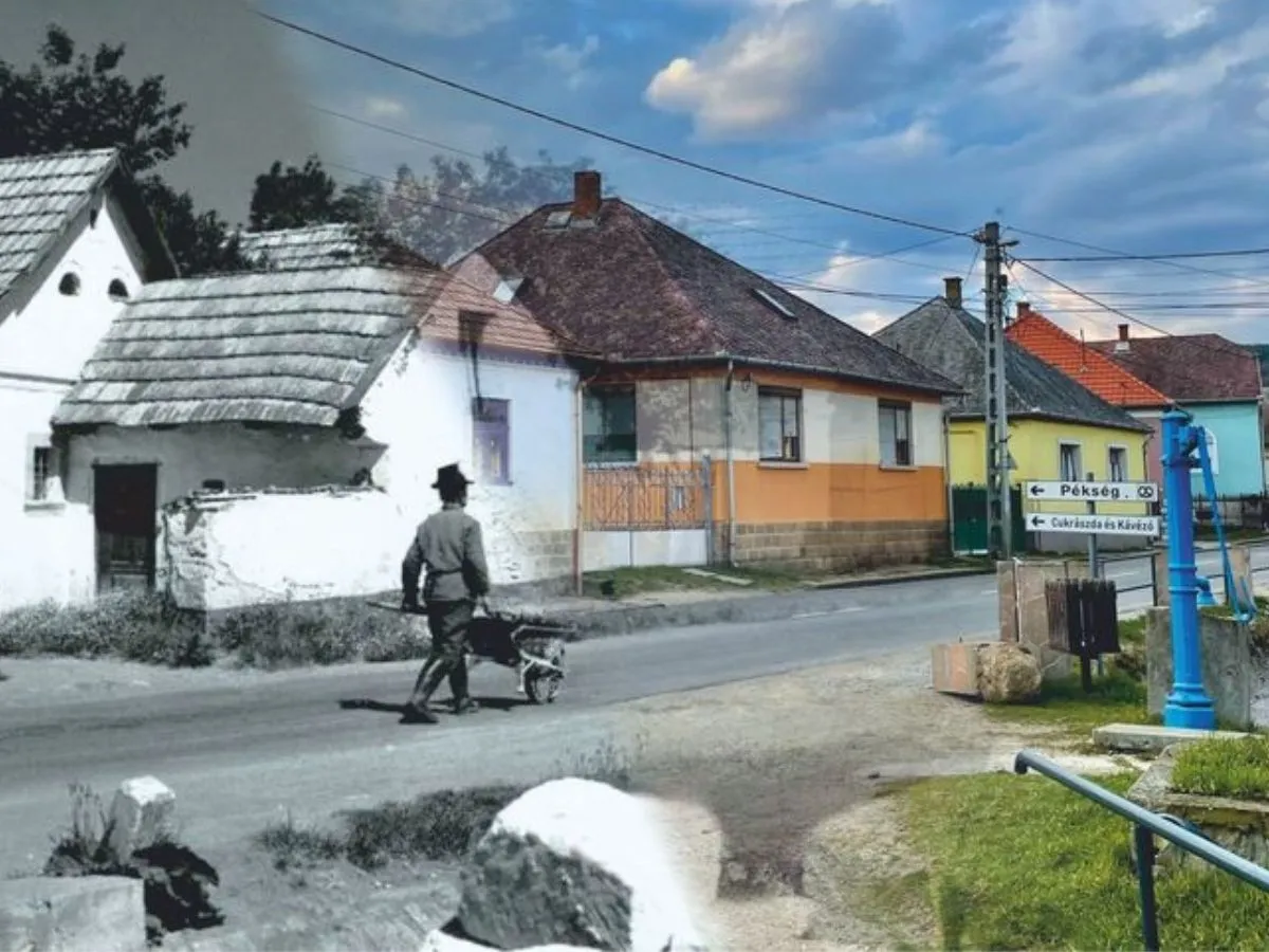 kozosertek_latopontok_noszvaj 1